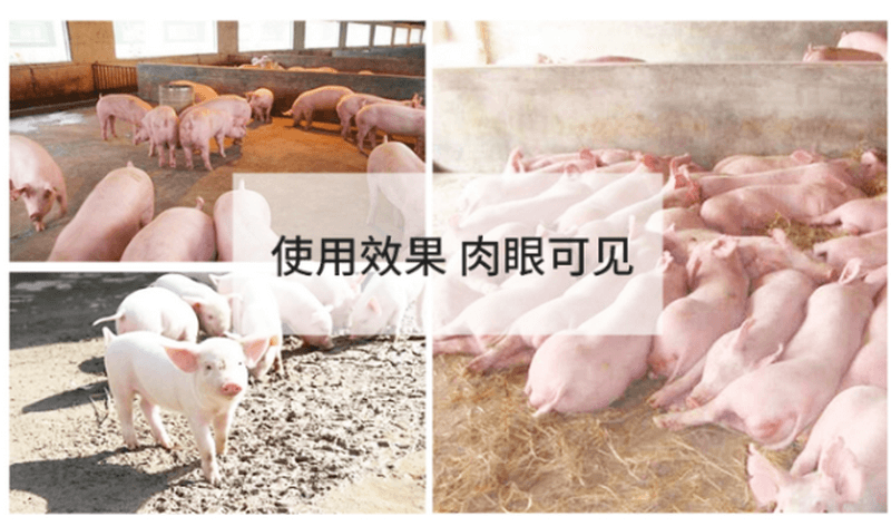 feed additives huajiaomubao for pigs 7